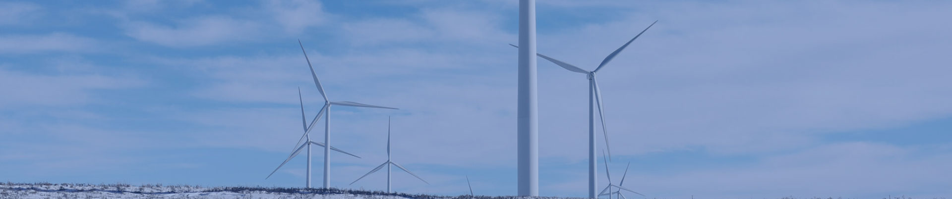 CMS,免费CMS,免费开源Java CMS,CMS系统,Java CMS,CMS内容管理系统,企业CMS,HTML网页模板,CMS模板,CMS源码,网站源码,信创系统软件,安可系统,网站建设,模板网站,建站模板,建站工具,建站平台,建站工具